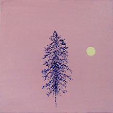 'Tree-Nature Portrait (21)'