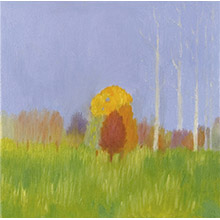 
'The Gentle Colours of Autumn (1)'